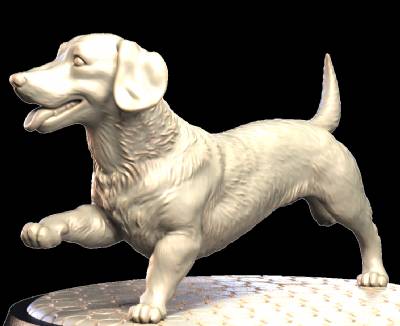 Dachshund family (4)
